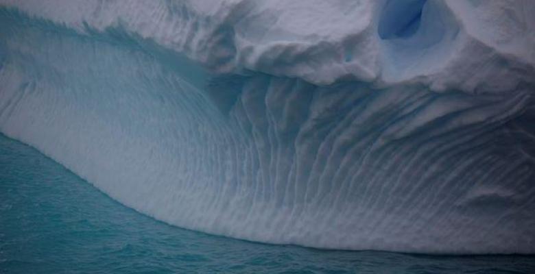 El cambio climático tiñe de verde la nieve de la Antártida