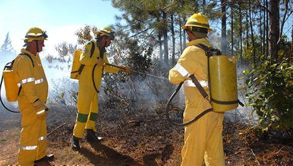 De enero a mayo, más de 500 incendios forestales en Cuba