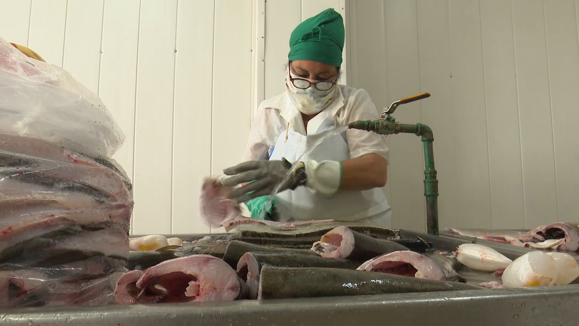 Diversifican producciones empresa tunera de la pesca