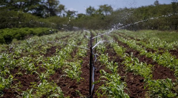 Gobierno y ciencia, codo a codo también en la producción de alimentos