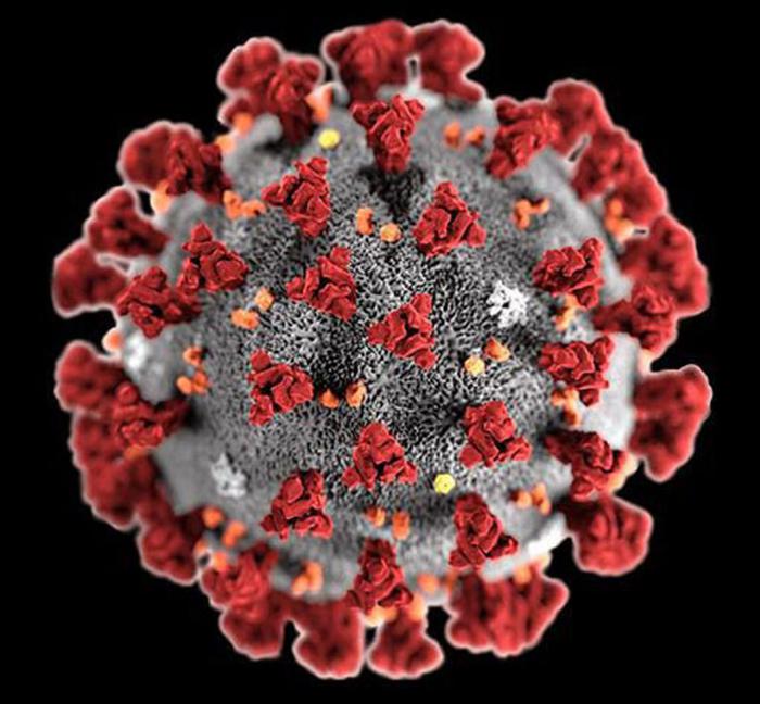 Cómo impacta la pandemia en la alimentación mundial?