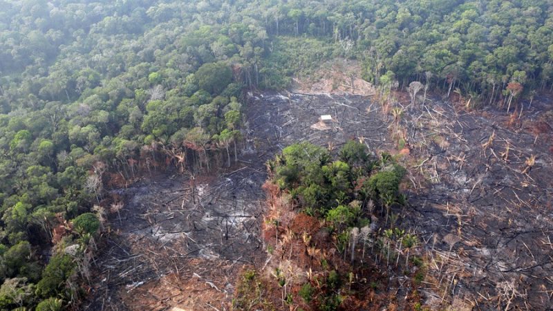 "El ecocidio, etnocidio y terricidio avanzan peor que el virus": Las conclusiones de la primera Asamblea Mundial de la Amazonia