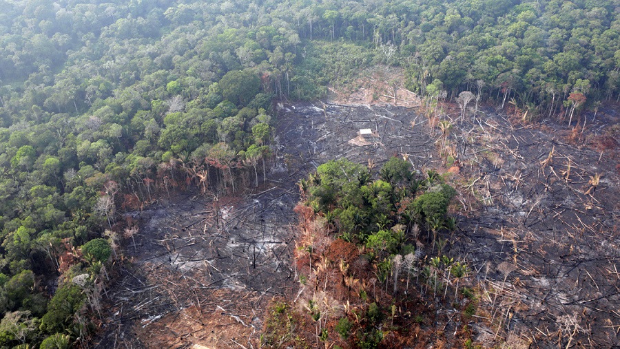 «El ecocidio, etnocidio y terricidio avanzan peor que el virus»: Las conclusiones de la primera Asamblea Mundial de la Amazonia
