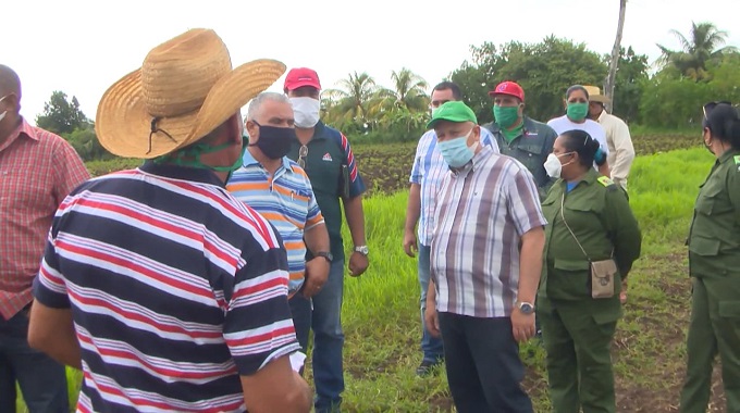 Aboga Viceprimer ministro por estabilizar la producción agropecuaria en Las Tunas