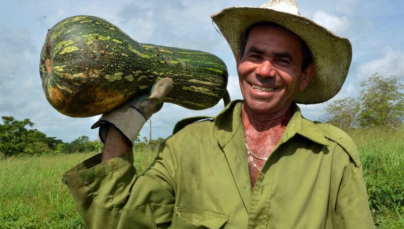 Una mirada hacia lo interno, necesaria para mayores producciones de alimentos en Cuba