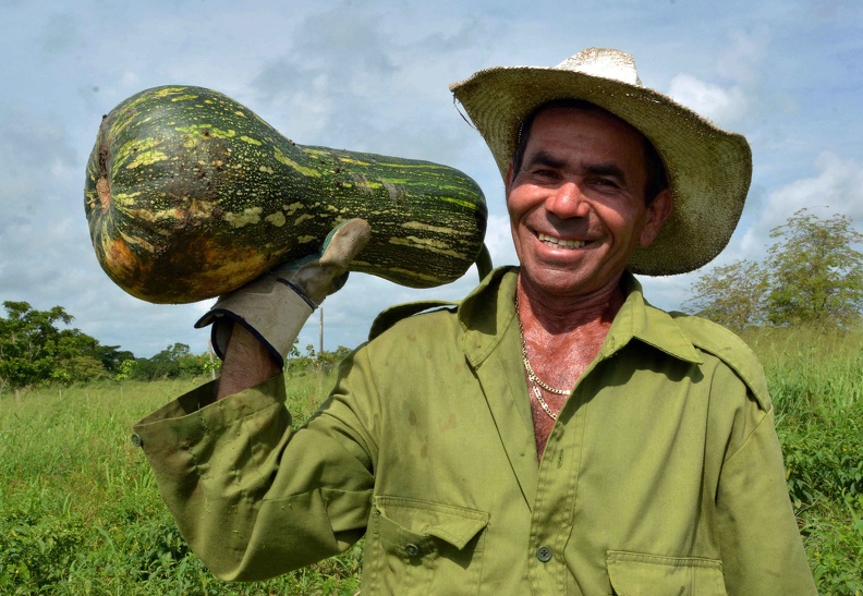 Una mirada hacia lo interno, necesaria para mayores producciones de alimentos en Cuba