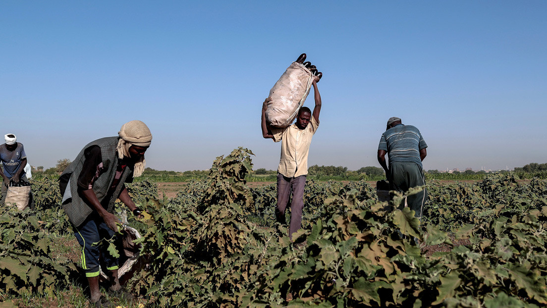 «El mundo no se encuentra en vías de alcanzar las metas pertinentes»: La pandemia agrava el hambre que ya padecían 690 millones de personas