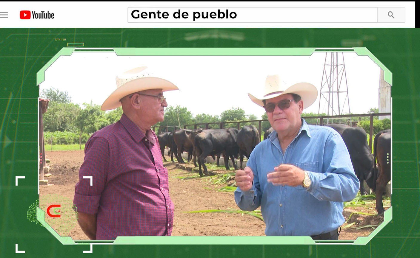 Com.Ciencia: Empresa agropecuaria