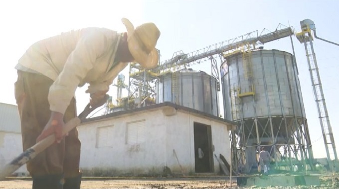 Entra en fase de terminación planta de beneficio de granos en Las Tunas