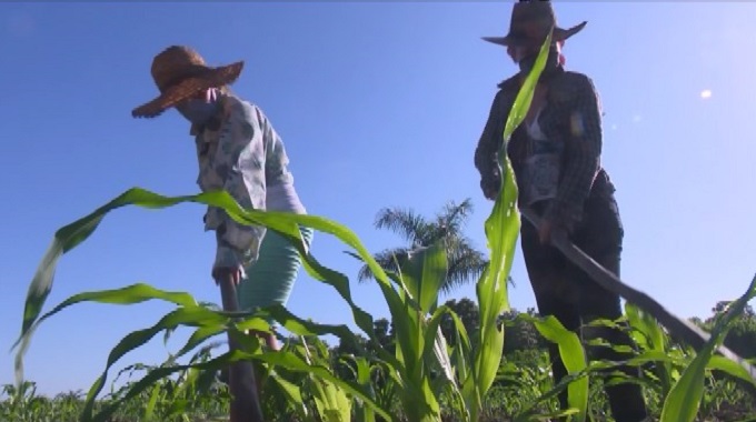 Analizan en Las Tunas resultados de la producción cooperativa