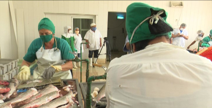 Empresa Pesquera de Las Tunas garantiza productos destinados a la población