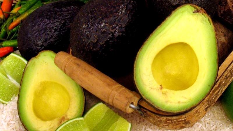 Fructifica esfuerzo exportador de la agricultura cubana, afirma ministro