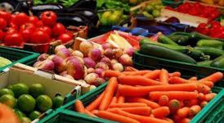 Resaltan estrategia cubana para desarrollar la producción de alimentos en Conferencia de la FAO