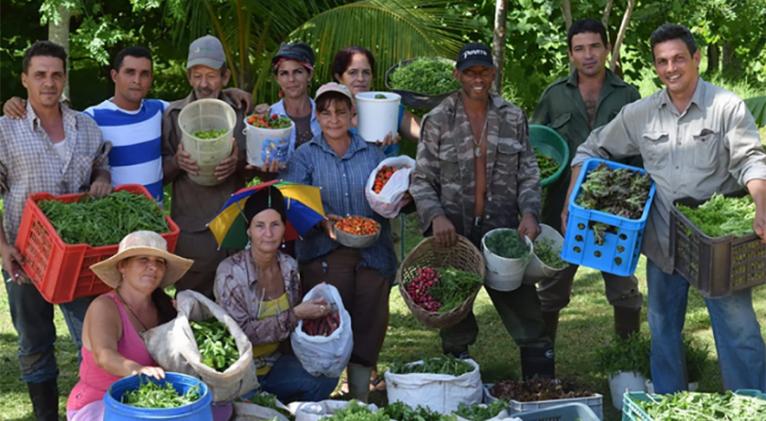 Incluyen a proyecto agroecológico familiar en programa científico