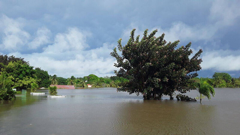 Significativas lluvias de Eta en comunidades de Ciego de Ávila (+Fotos y Videos)