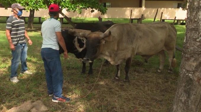 Incentivan la enseñanza de la agronomía en el norte de Las Tunas