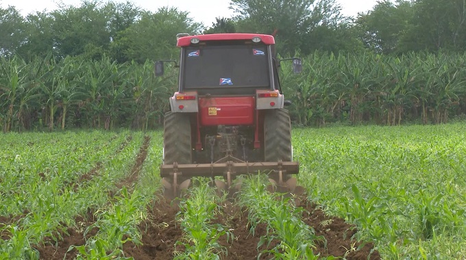 Agrometeorología al servicio de la producción de alimentos en Las Tunas