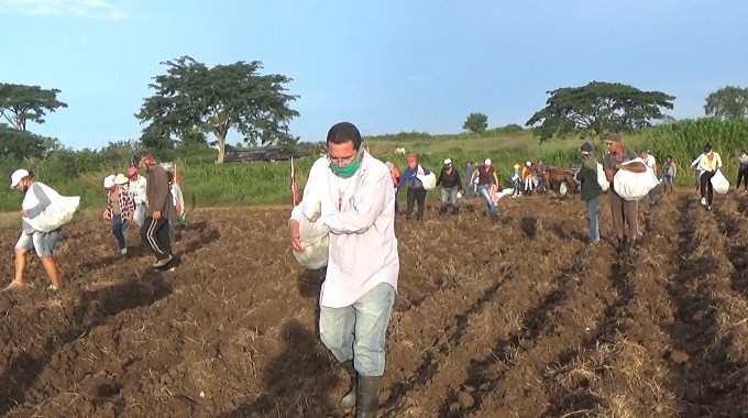 Apoyan producción de alimentos en el municipio de Colombia