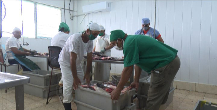 Reconocen a la Empresa Pesquera de Las Tunas como la mejor del país