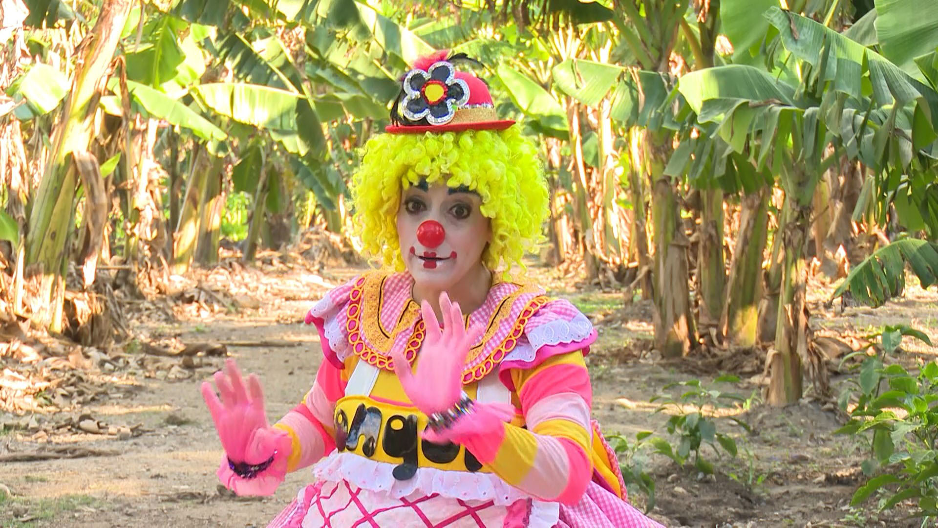 Limonada: El campo