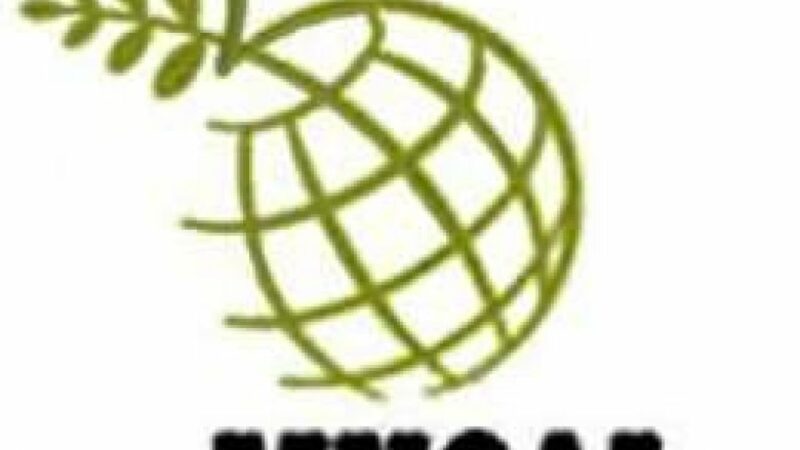 Cuba refrenda compromiso con Movimiento de Países No Alineados