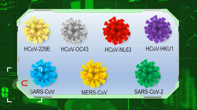 Com.Ciencia: Inmunología