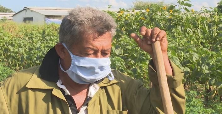 Familias en Las Tunas producen la tierra para su sustento familiar