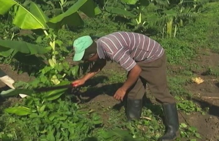 Avanzan en Las Tunas hacia la soberanía alimentaria