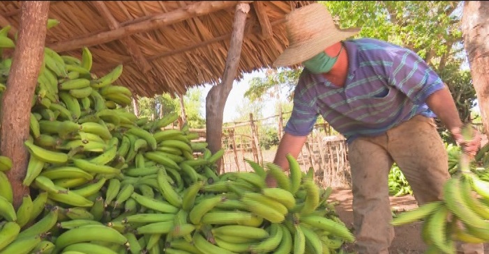 Crean en Majibacoa comisiones de trabajo para el cumplimiento de la Tarea Ordenamiento