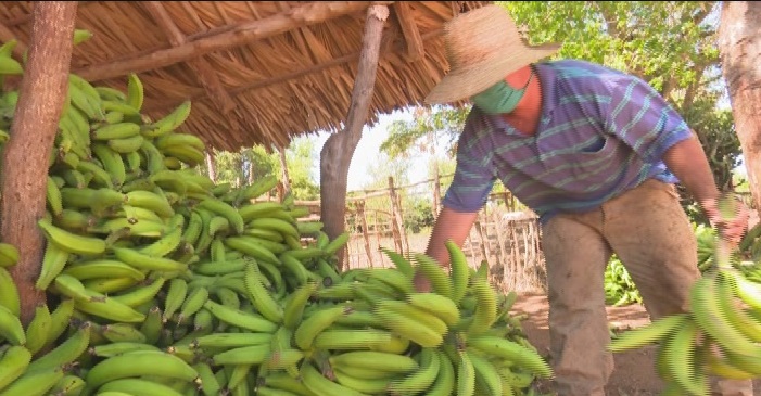 Evaláun en Majibacoa cumplimiento de la Tarea Ordenamineto