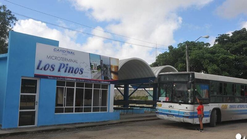 La Guagua pone rostro a usuarios del transporte público en ciudad cubana