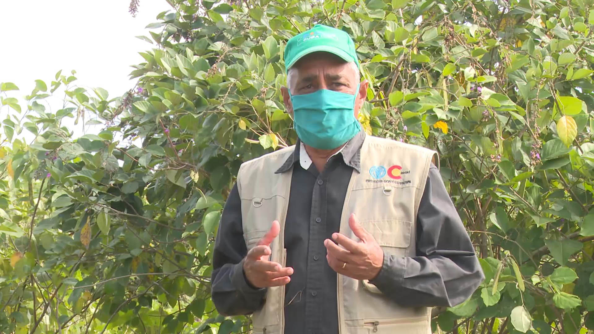 Desde el surco: Desarrollo de plantas forrajeras