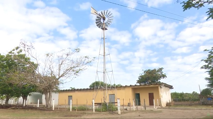 Fuentes renovables de energía benefician producción ganadera en Las Tunas