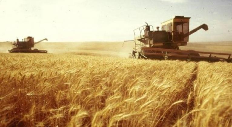 FAO alerta sobre sostenido incremento de precios de alimentos
