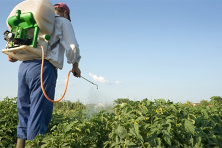 Agricultura cubana potencia uso de bioproductos