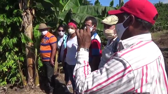 La ciencia y la técnica a favor de la agricultura en el municipio de Colombia