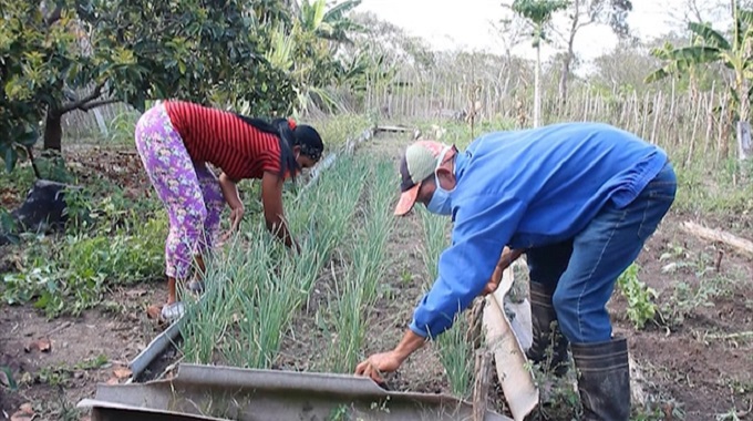 Incentivan la agricultura familiar en comunidades de Las Tunas