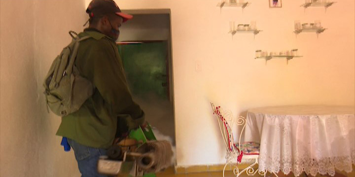 Se mantiene activa en #LasTunas la vigilancia epidemiológica sobre el aedes aegypti