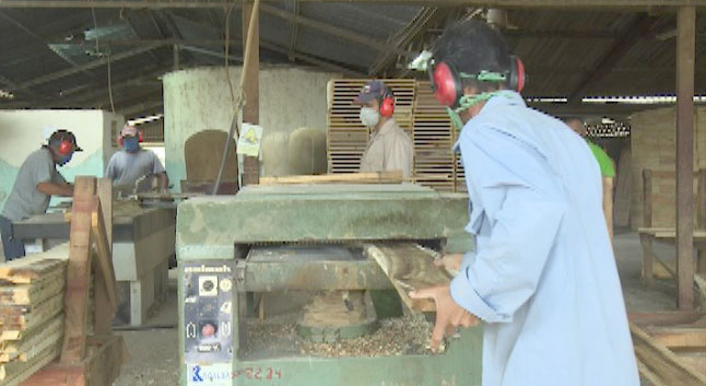 Incrementan producciones Empresa Agroforestal en Las Tunas