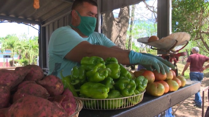 Destaca Puerto Padre por avances en el programa de la agricultura urbana, suburbana y familiar
