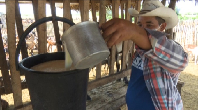 Joven productor de Las Tunas sobresale por la aplicación de preceptos de la agricultura sostenible