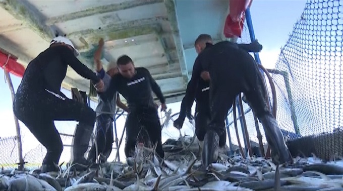 Listos trabajadores pesqueros de Las Tunas para celebrar su día