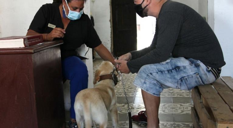 Celebran hoy Día del Trabajador de la Medicina Veterinaria Cubana