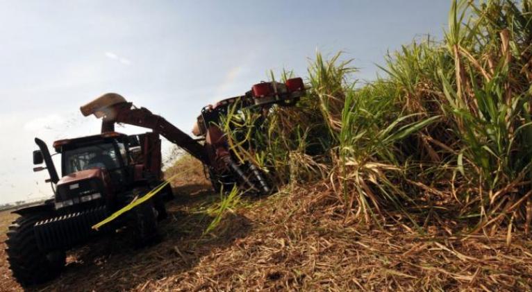 Cuba prosigue zafra azucarera 2020/2021 pese a dificultades