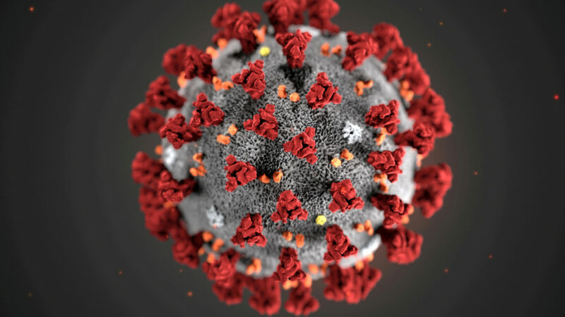 Descubren una nueva cepa de coronavirus en Túnez