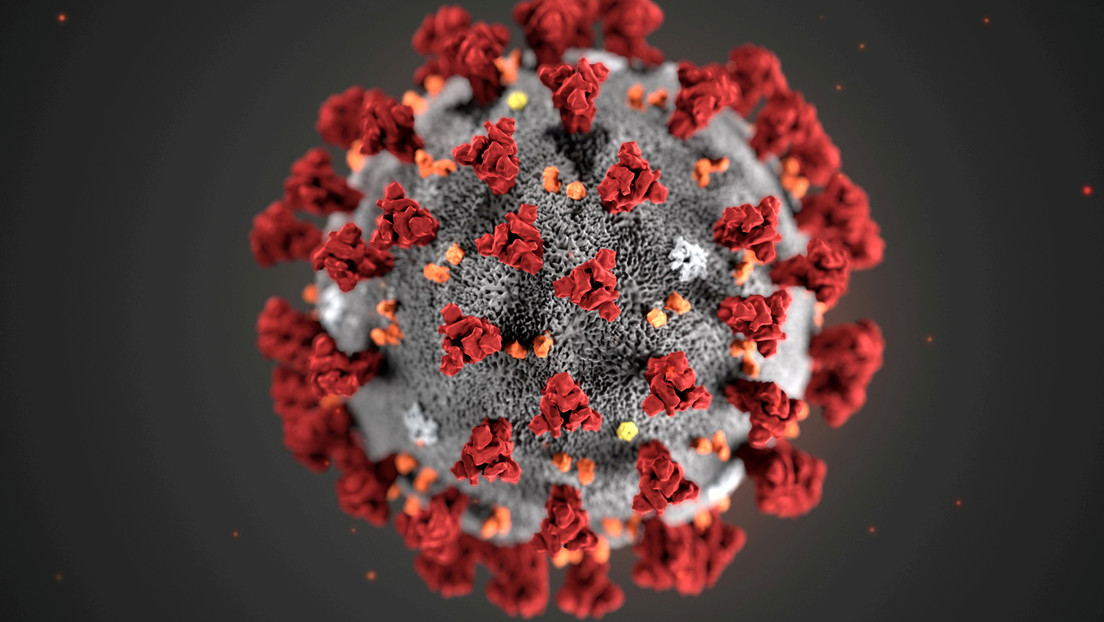 Descubren una nueva cepa de coronavirus en Túnez