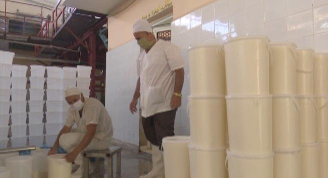 En Las Tunas se mantiene estable la producción de la leche y el yogur de soya