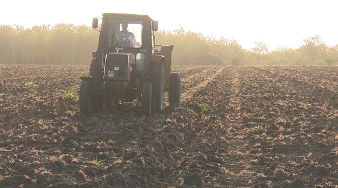 Presentan medidas para facilitar la comercialización de productos agropecuarios en Las Tunas