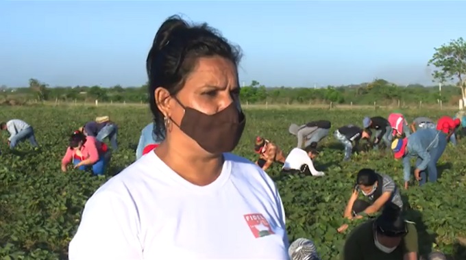 Realizan trabajos voluntarios en #LasTunas en el marco de la jornada por el #1roDeMayo