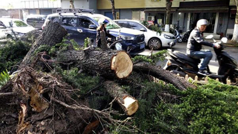 Lamenta Cuba pérdida de vidas tras vendavales en China